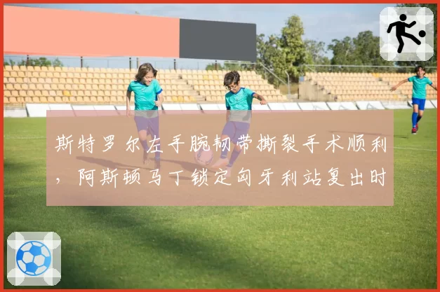 斯特罗尔左手腕韧带撕裂手术顺利,阿斯顿马丁锁定匈牙利站复出时间表